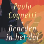 Omslag van Beneden in het dal