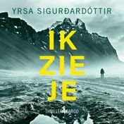 Omslag van Ik zie je