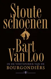 Omslag van Stoute schoenen