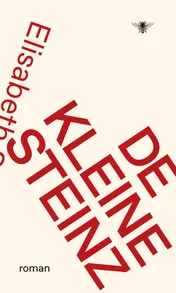 Omslag van De kleine Steinz