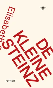 Omslag van De kleine Steinz