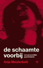Omslag van De schaamte voorbij