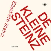 Omslag van De kleine Steinz