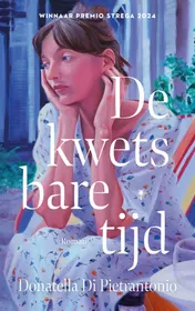 Omslag van De kwetsbare tijd