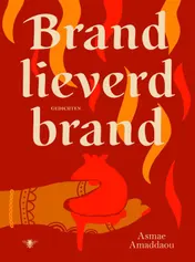 Omslag van Brand lieverd brand