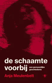 Omslag van De schaamte voorbij