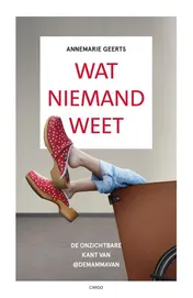 Omslag van Wat niemand weet