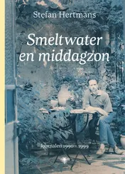 Omslag van Smeltwater en middagzon