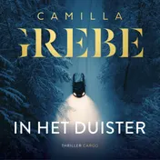Omslag van In het duister