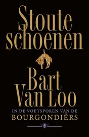 Omslag van Stoute schoenen