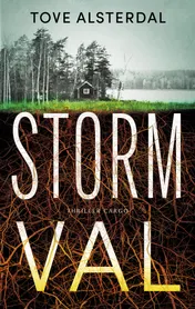 Omslag van Stormval