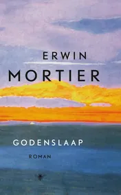 Omslag van Godenslaap