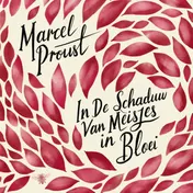 Omslag van In de schaduw van meisjes in bloei