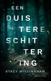 Omslag van Een duistere schittering