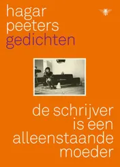 Omslag van De schrijver is een alleenstaande moeder