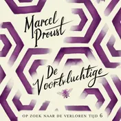 Omslag van De voortvluchtige