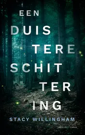 Omslag van Een duistere schittering