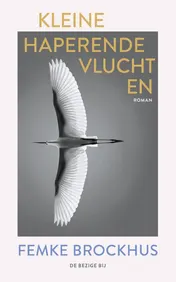 Omslag van Kleine haperende vluchten