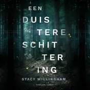 Omslag van Een duistere schittering