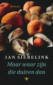 Omslag van Maar waar zijn die duiven dan