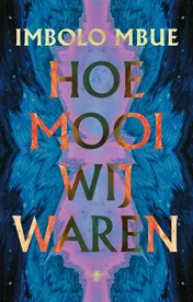 Omslag van Hoe mooi wij waren