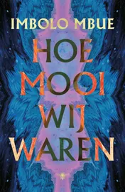 Omslag van Hoe mooi wij waren