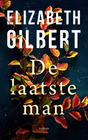 Omslag van De laatste man