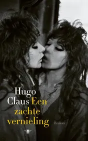 Omslag van Een zachte vernieling