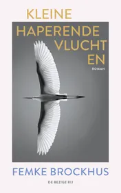 Omslag van Kleine haperende vluchten