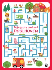 Omslag van Mijn grote boek vol doolhoven