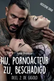 Omslag van 2 Gigolo