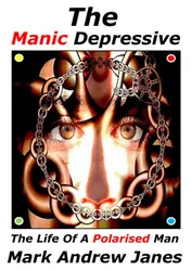 Omslag van The Manic Depressive