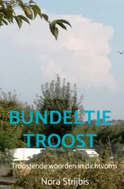 Omslag van Bundeltje troost