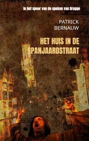 Omslag van Het huis in de Spanjaardstraat