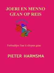 Omslag van Joeri en Menno gean op reis