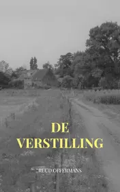 Omslag van De verstilling