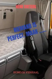 Omslag van Niemand is perfect maar...