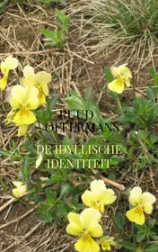 Omslag van De idyllische identiteit