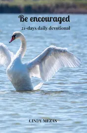 Omslag van Be encouraged