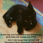 Omslag van Ik ben Leo, een hulphond in een kattenjasje en ik help mijn baasje met PTSS