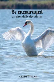 Omslag van Be encouraged