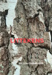 Omslag van Littekens