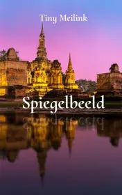 Omslag van Spiegelbeeld