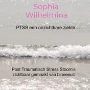 Omslag van PTSS een onzichtbare ziekte ...