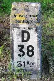 Omslag van De weg naar Santiago