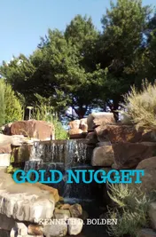 Omslag van Gold Nugget