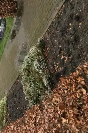 Omslag van kinder