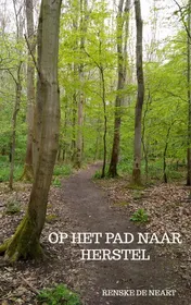 Omslag van Op het pad naar herstel