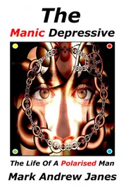Omslag van The Manic Depressive