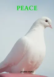 Omslag van Peace